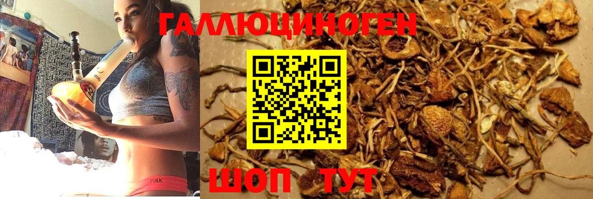 Галлюциногенные грибы мицелий Сергиев Посад