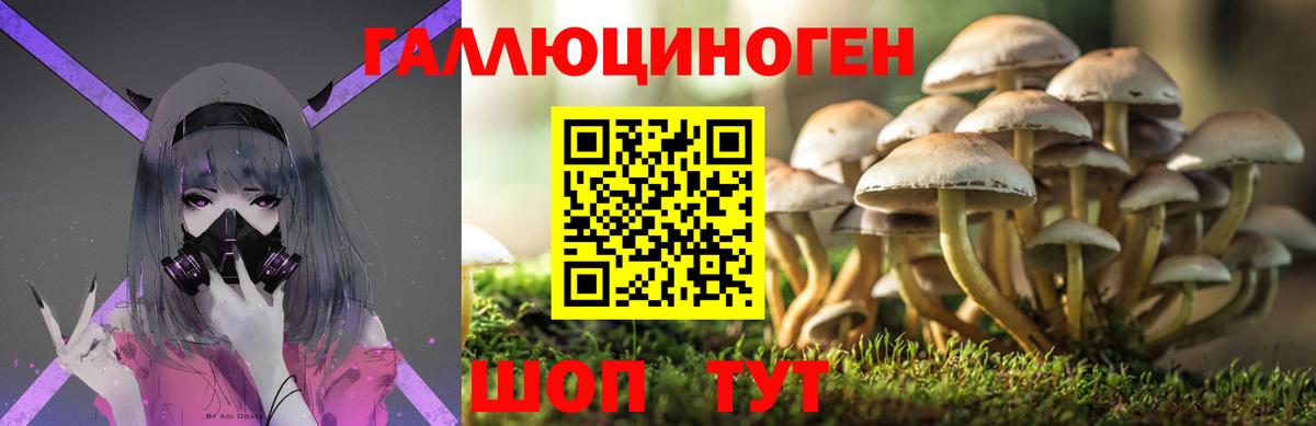 МЕФ Сергиев Посад